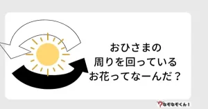 なぞなぞオトナ5005（中級）おひさまの周りを回っているお花ってなーんだ？