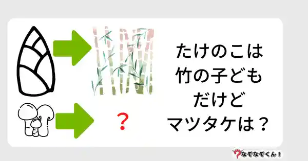 なぞなぞクイズ5002（大人中級者向け）答え付き問題・無料・たけのこは竹の子どもだけどマツタケは？