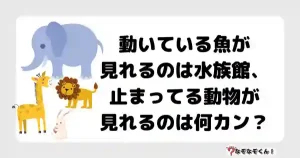 なぞなぞオトナ5053（中級） 動いている魚が見れるのは水族館、止まってる動物が見れるのは何カン？