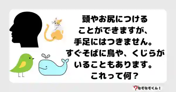 なぞなぞクイズ5060（大人中級者向け）答え付き問題・無料・ 頭やお尻につけることができますが、手足にはつきません。すぐそばに鳥や、くじらがいることもあります。これって何？