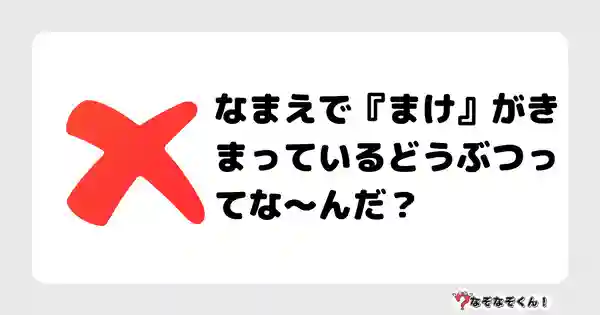 なぞなぞクイズ（小学生むずかしい）3125答え付き問題・無料・なまえで『まけ』がきまっているどうぶつってな〜んだ？