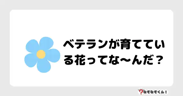 なぞなぞクイズ（オトナ中級）5096答え付き問題・無料・ベテランが育てている花ってな〜んだ？