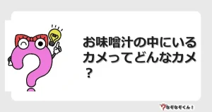 なぞなぞクイズ（幼稚園かんたん）1024イラスト・絵・ヒント・答え付き問題・無料・お味噌汁の中にいるカメってどんなカメ？