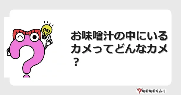 なぞなぞクイズ（幼稚園かんたん）1024イラスト・絵・ヒント・答え付き問題・無料・お味噌汁の中にいるカメってどんなカメ？
