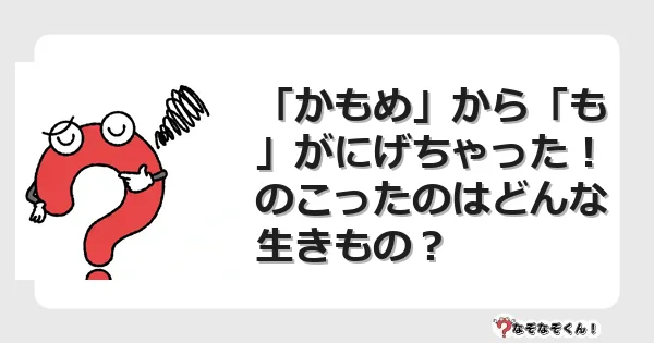 なぞなぞクイズ（幼稚園かんたん）1118イラスト・絵・ヒント・答え付き問題・無料・「かもめ」から「も」がにげちゃった！のこったのはどんな生きもの？