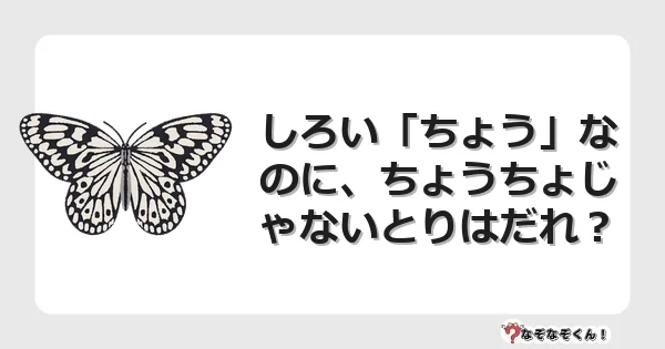 なぞなぞクイズ（幼稚園かんたん）1149イラスト・絵・ヒント・答え付き問題・無料・しろい「ちょう」なのに、ちょうちょじゃないとりはだれ？