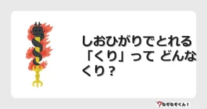 なぞなぞクイズ（幼稚園かんたん）1210イラスト・絵・ヒント・答え付き問題・無料・しおひがりでとれる「くり」って どんなくり？