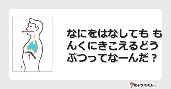 なぞなぞクイズ（幼稚園かんたん）1257イラスト・絵・ヒント・答え付き問題・無料・なにをはなしても もんくにきこえるどうぶつってなーんだ？